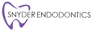 snyder endodontics